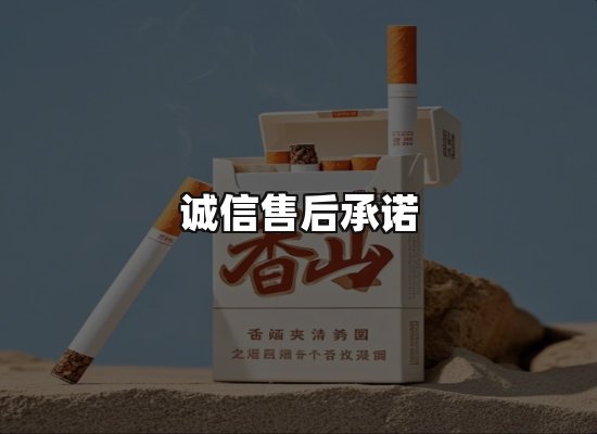 专业优势